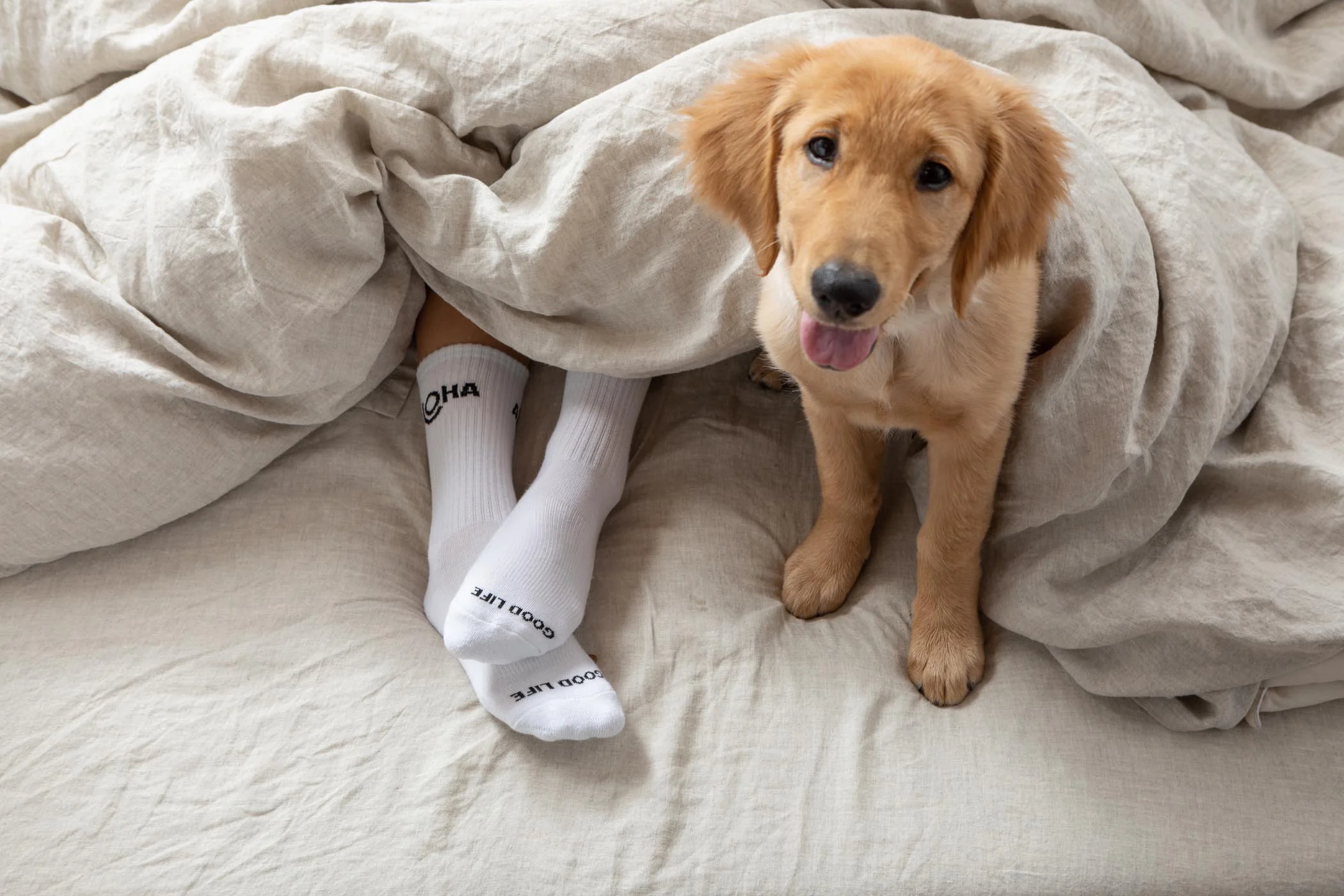 Crew Socks | ALOHA Logo - Image 4