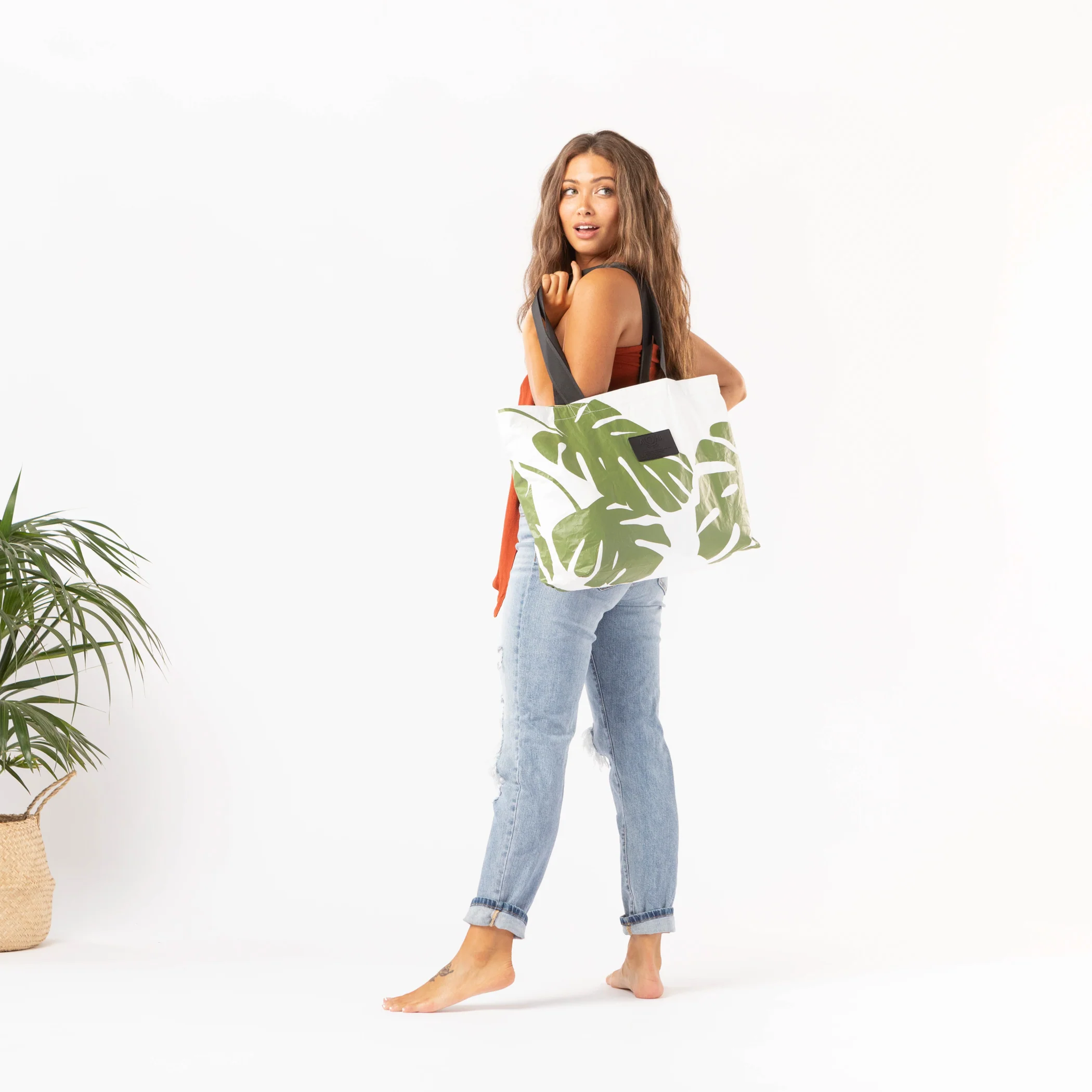 Holo Holo | Monstera - Image 4